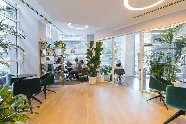 people working in office with plants